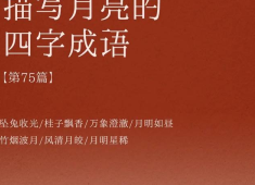 璇字谐音浪漫四字词语