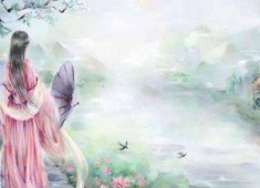 诗中带璇的唯美句子