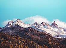 纨劣的近义词和反义词是什么？